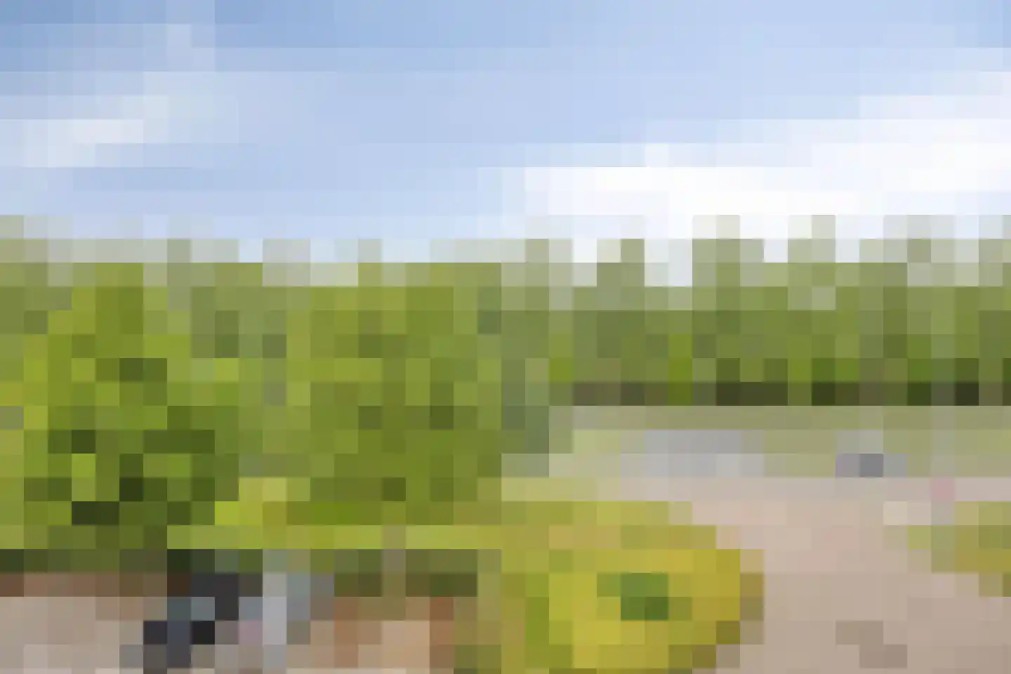 Boorn 76 Rotterdam thumbnail 21
