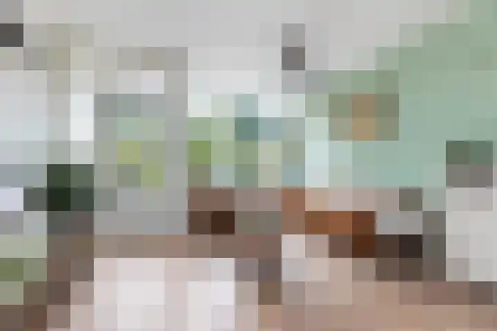 Boorn 9 Zwolle thumbnail 13