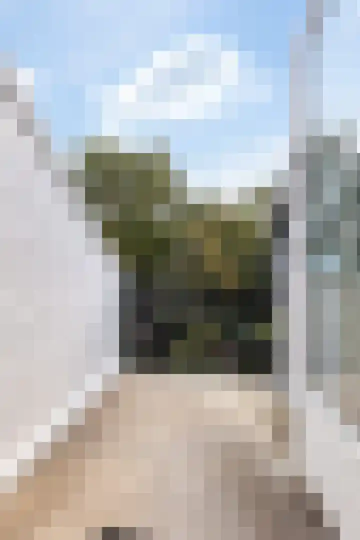 Boorn 9 Zwolle thumbnail 26