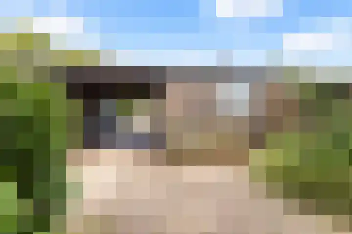 Boorn 9 Zwolle thumbnail 6