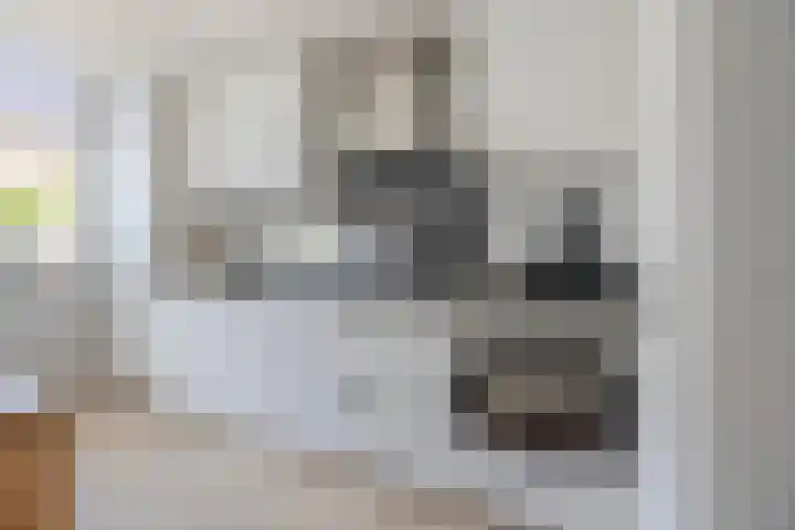 Boorsmastraat 3 Katwijk thumbnail 13