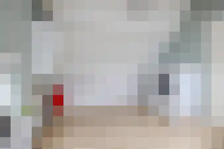 Boorsmastraat 3 Katwijk thumbnail 32