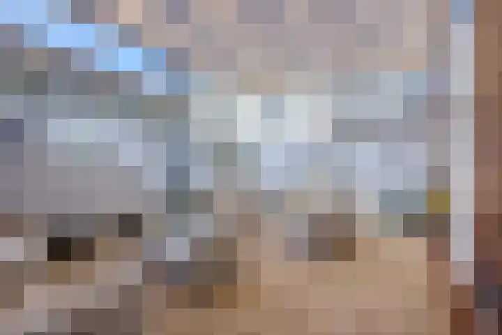 Boorsmastraat 3 Katwijk thumbnail 37