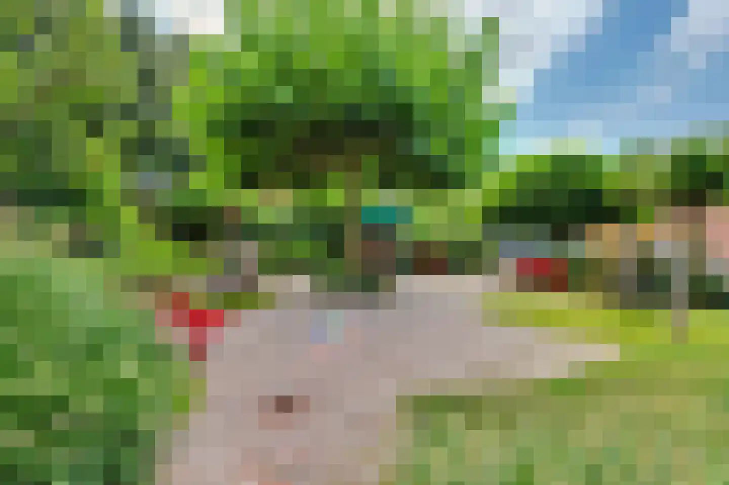 Boorstraat 4 Hardinxveld-Giessendam thumbnail 35