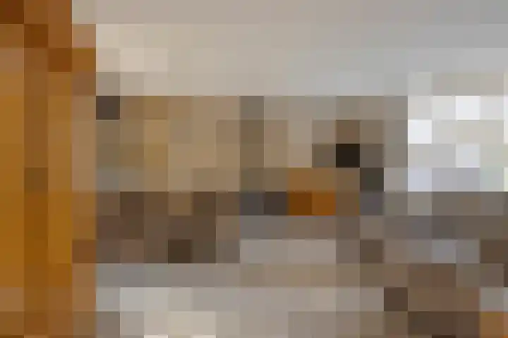 Boortorenstraat 2 Oploo thumbnail 11