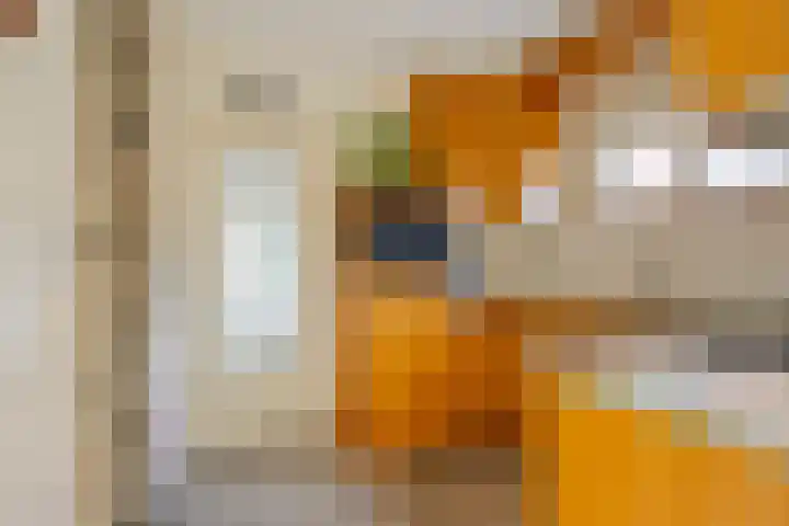 Boortorenstraat 2 Oploo thumbnail 16