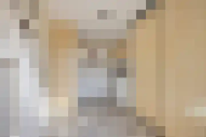 Boortorenstraat 2 Oploo thumbnail 17