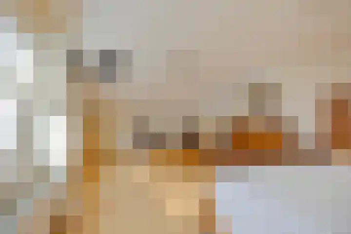 Boortorenstraat 2 Oploo thumbnail 20