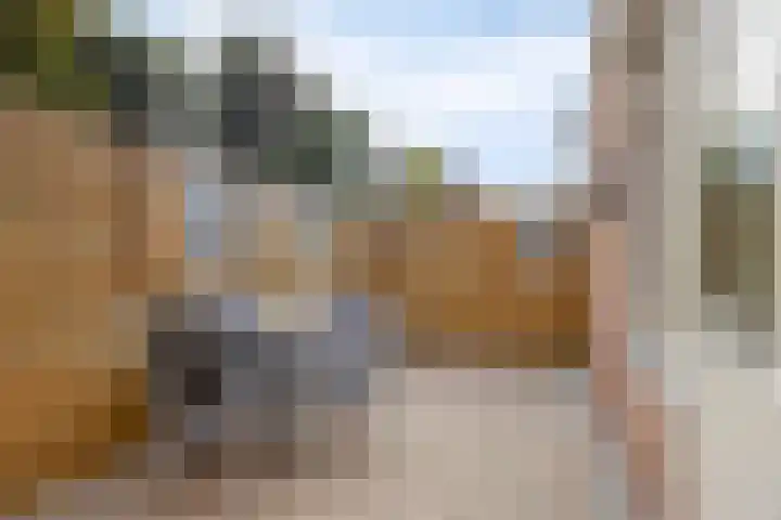 Boortorenstraat 2 Oploo thumbnail 28