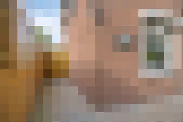 Boortorenstraat 2 Oploo thumbnail 29