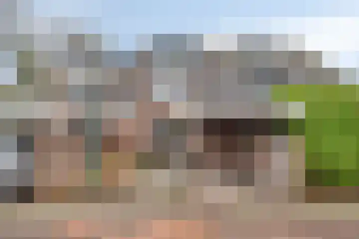 Boötes 2 Loon op Zand