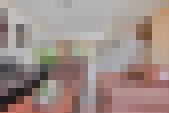 Boötes 2 Loon op Zand thumbnail 12