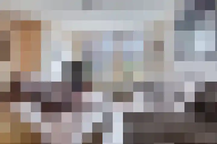 Boötes 2 Loon op Zand thumbnail 13