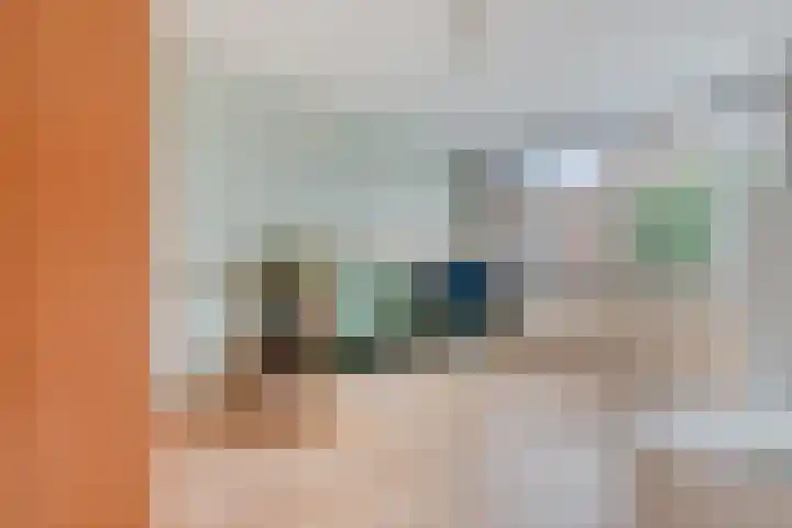 Boötes 2 Loon op Zand thumbnail 20