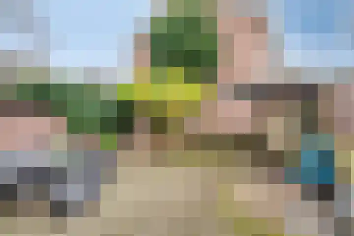 Boötes 2 Loon op Zand thumbnail 27
