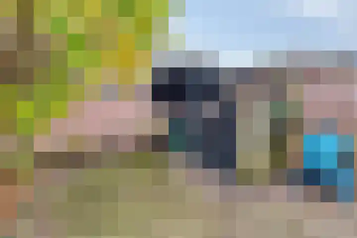 Boötes 2 Loon op Zand thumbnail 28