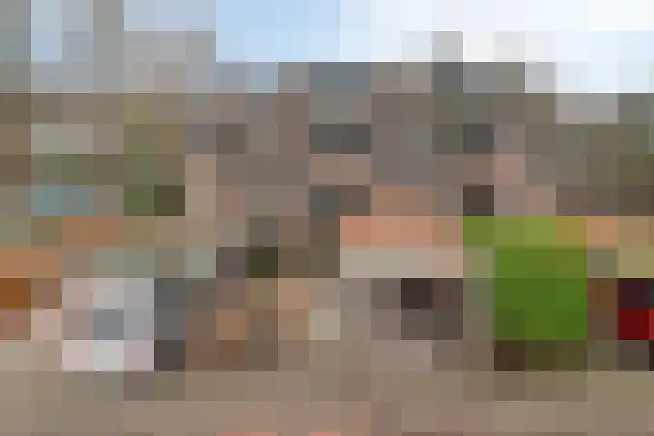 Boötes 2 Loon op Zand thumbnail 5