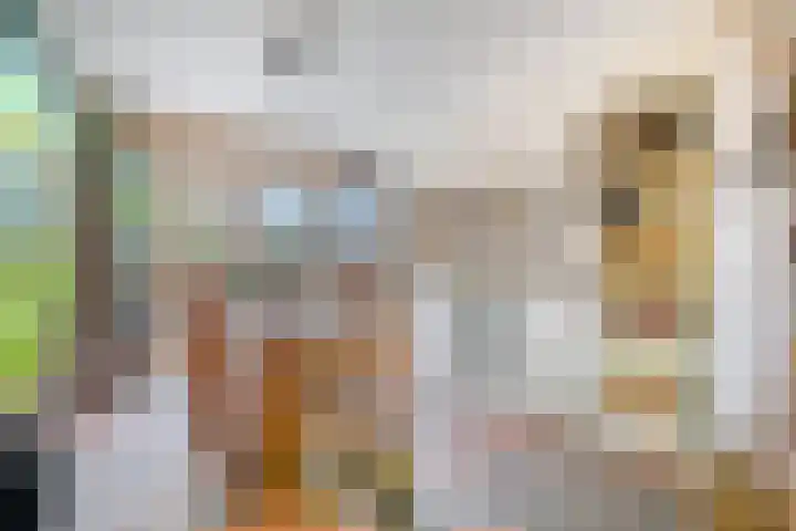Boötes 2 Loon op Zand thumbnail 7