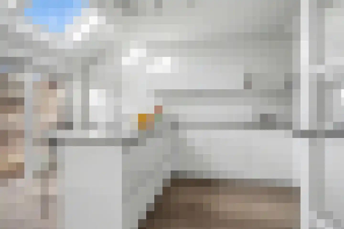 Boötes 28 Loon op Zand thumbnail 14