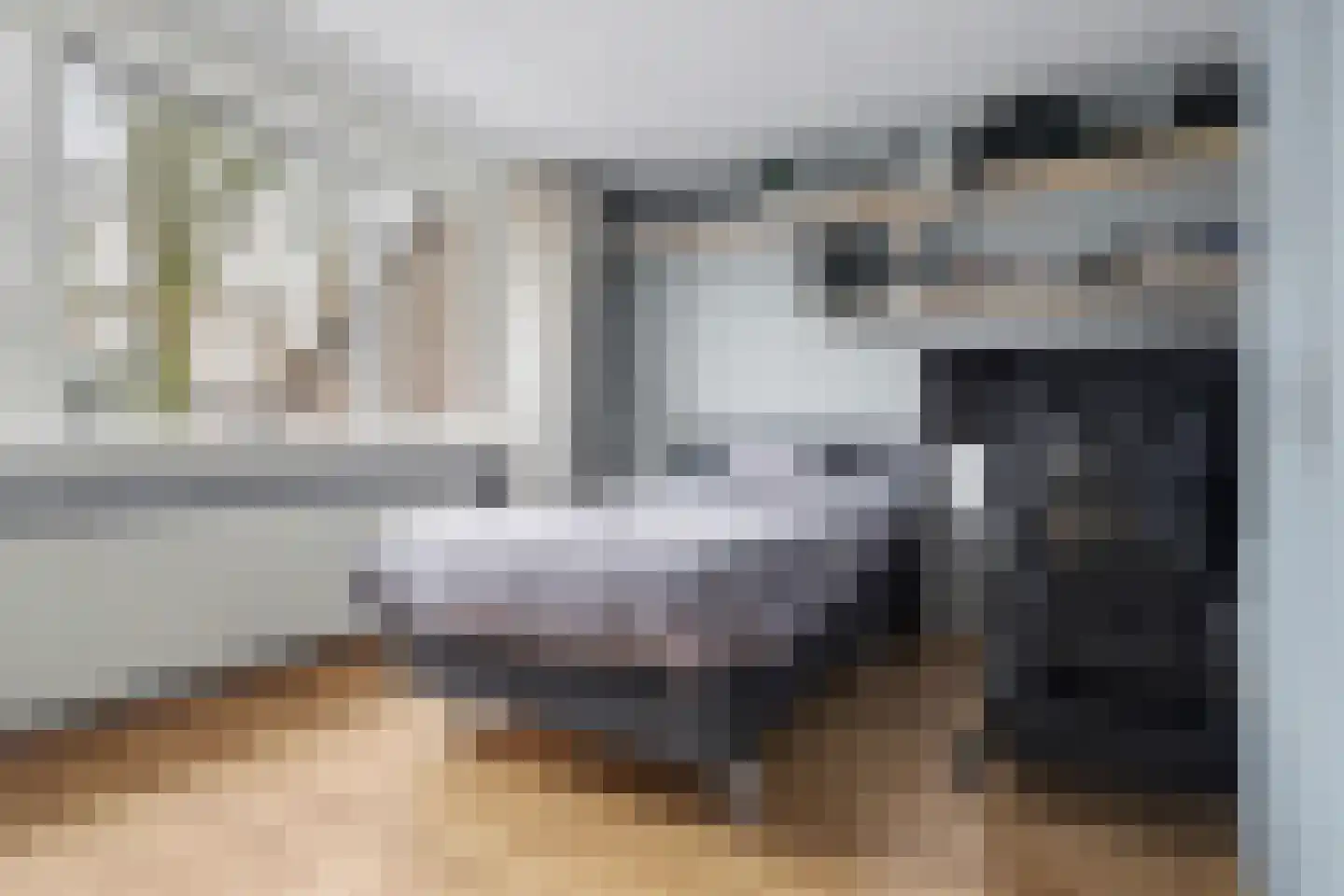 Boötes 28 Loon op Zand thumbnail 20