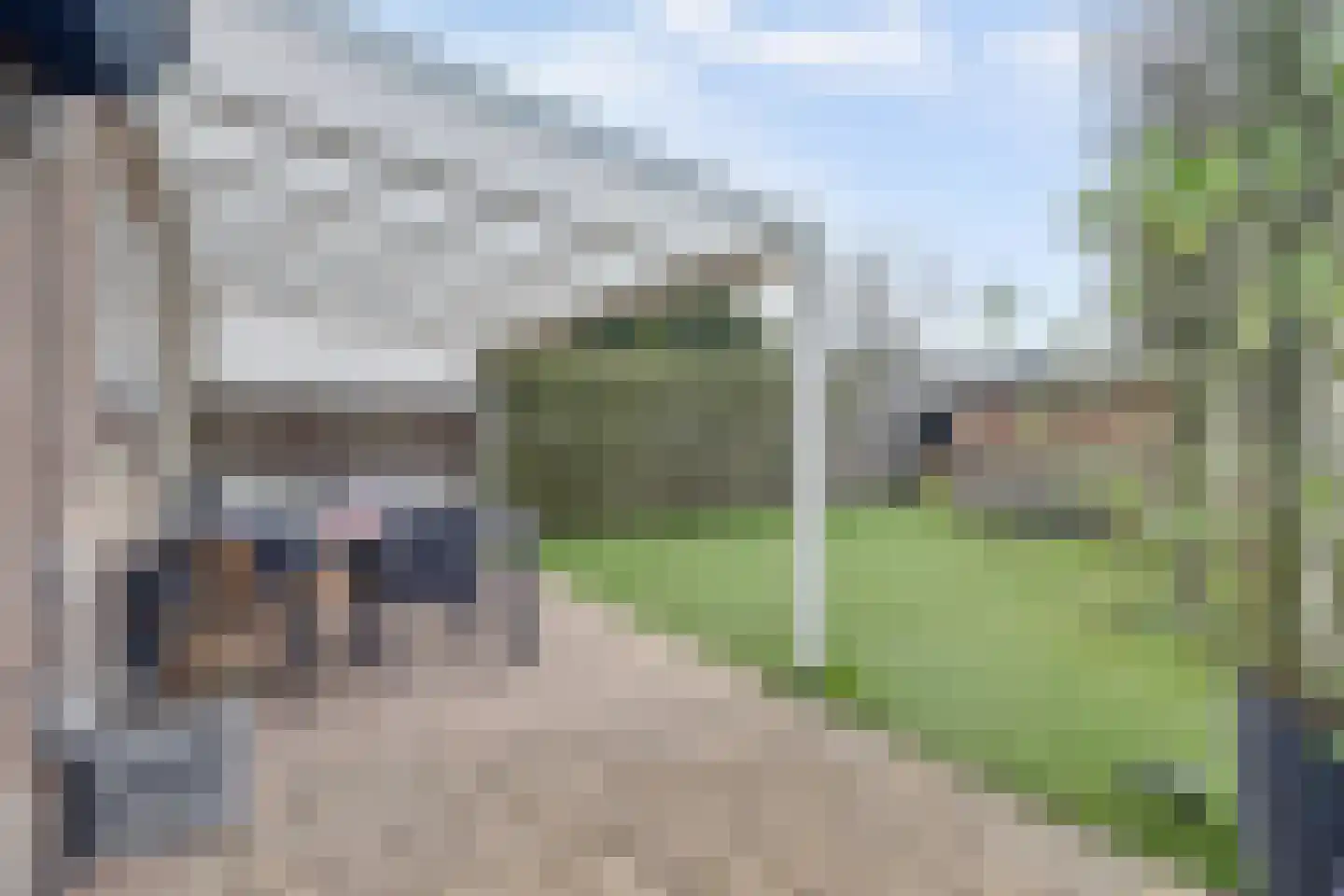 Boötes 28 Loon op Zand thumbnail 31