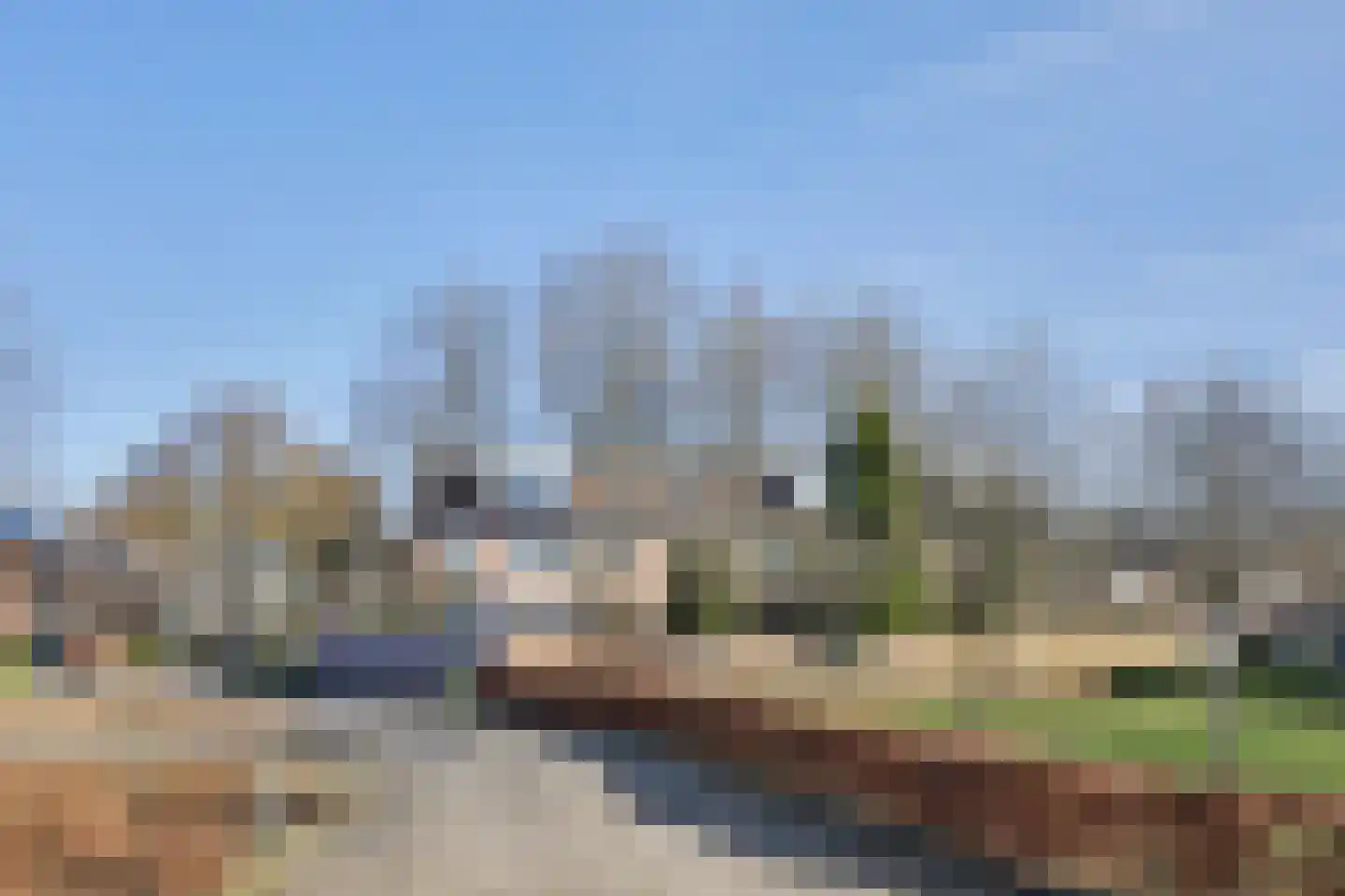 Boötes 28 Loon op Zand thumbnail 35