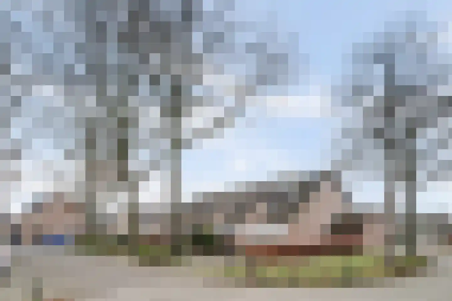 Boötes 28 Loon op Zand thumbnail 36