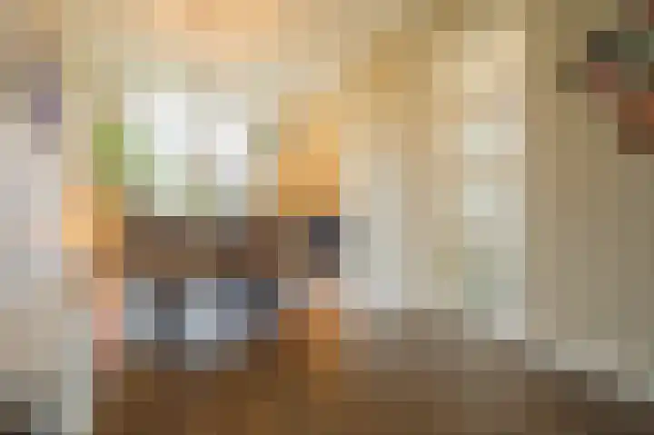 Boothuizen 24 Bakel thumbnail 12