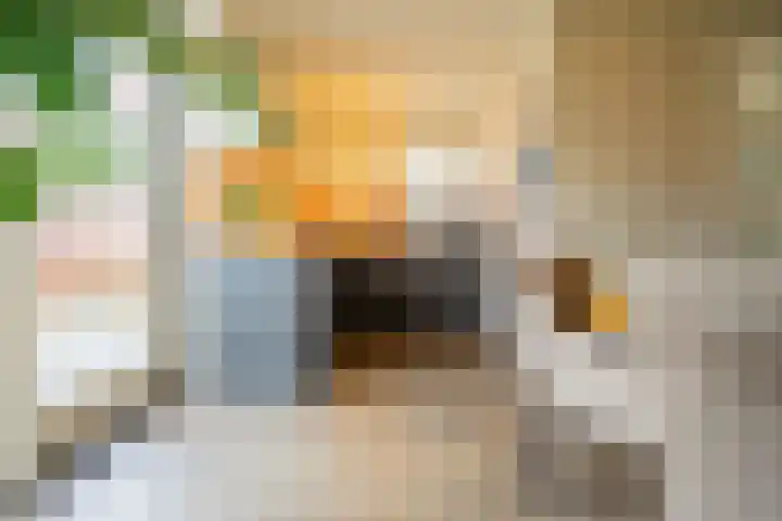 Boothuizen 24 Bakel thumbnail 13