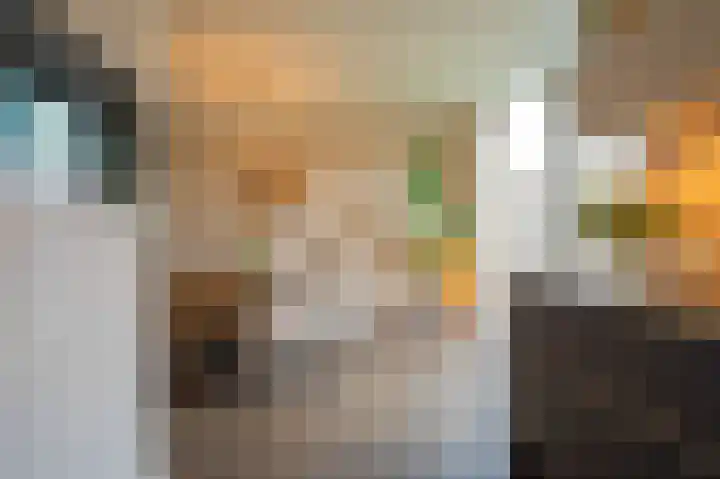 Boothuizen 24 Bakel thumbnail 17