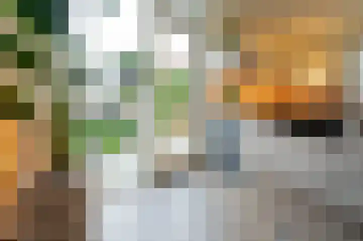 Boothuizen 24 Bakel thumbnail 18