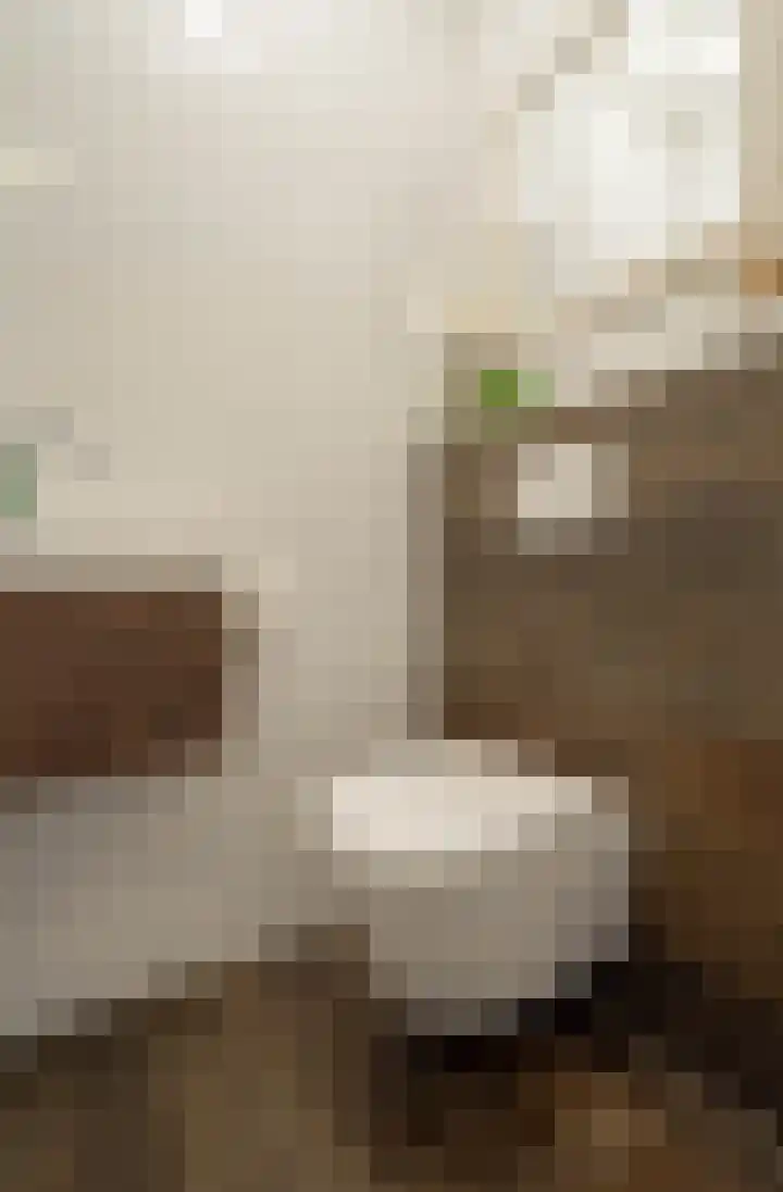 Boothuizen 24 Bakel thumbnail 19