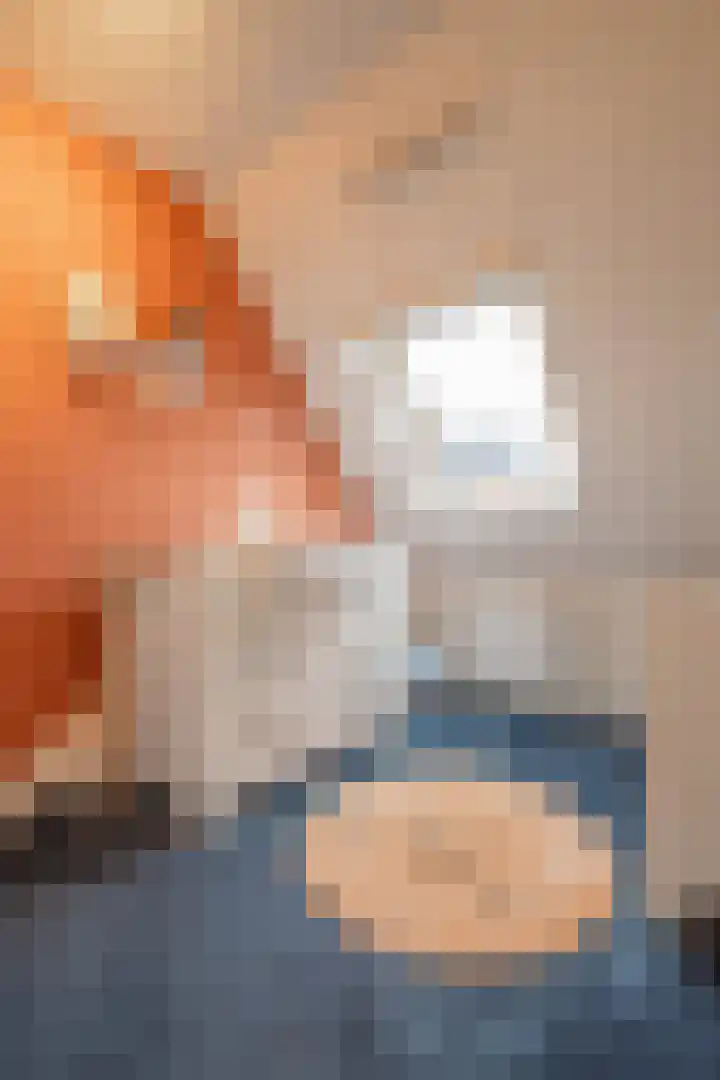 Boothuizen 24 Bakel thumbnail 28