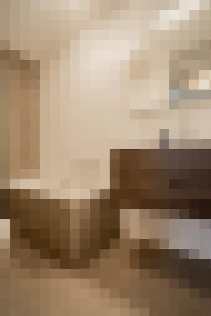 Boothuizen 24 Bakel thumbnail 31