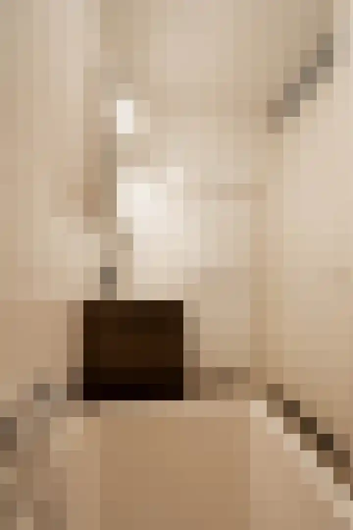Boothuizen 24 Bakel thumbnail 33