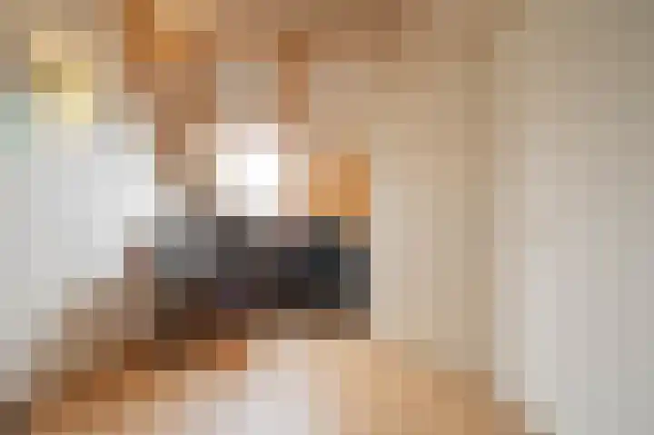Boothuizen 24 Bakel thumbnail 36