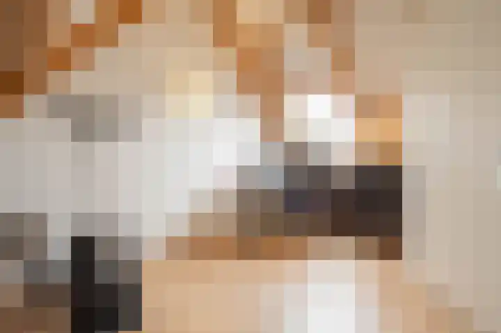 Boothuizen 24 Bakel thumbnail 37