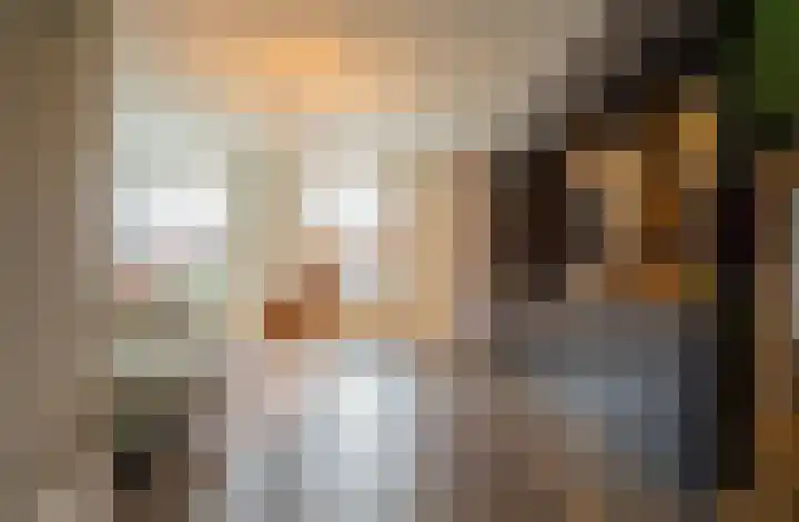 Boothuizen 24 Bakel thumbnail 5