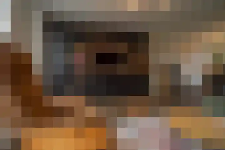 Boothuizen 24 Bakel thumbnail 8
