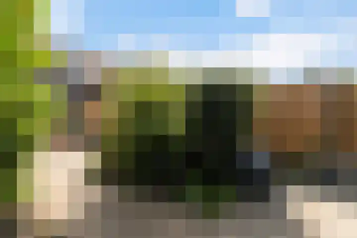 Bootjessteeg 123 Zwijndrecht thumbnail 23