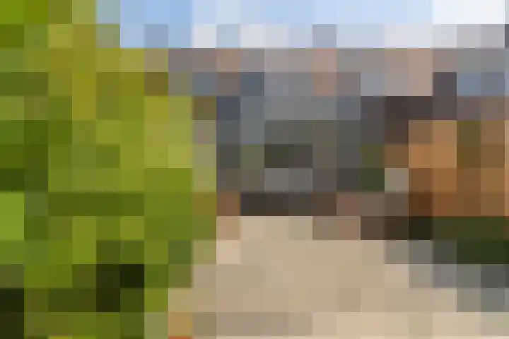 Bootjessteeg 123 Zwijndrecht thumbnail 24