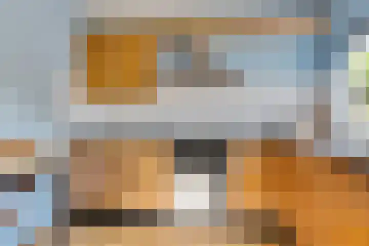 Bootsgezellenweg 18 Westwoud thumbnail 11