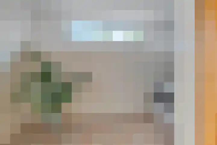 Bootsgezellenweg 18 Westwoud thumbnail 15