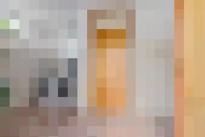 Bootsgezellenweg 18 Westwoud thumbnail 16