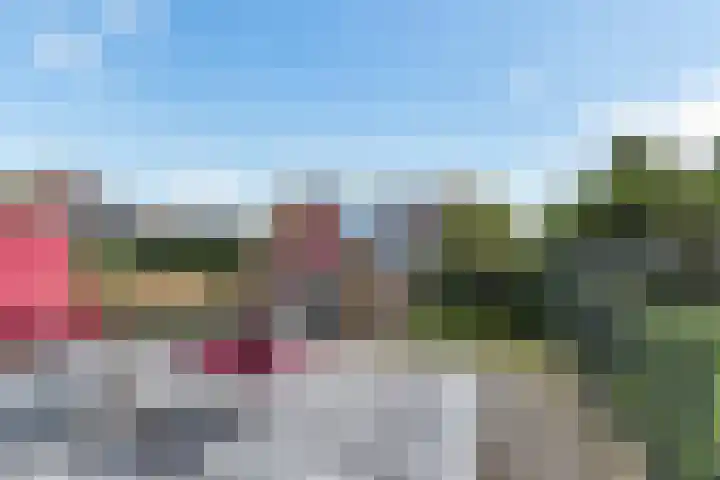 Bootsgezellenweg 18 Westwoud thumbnail 28