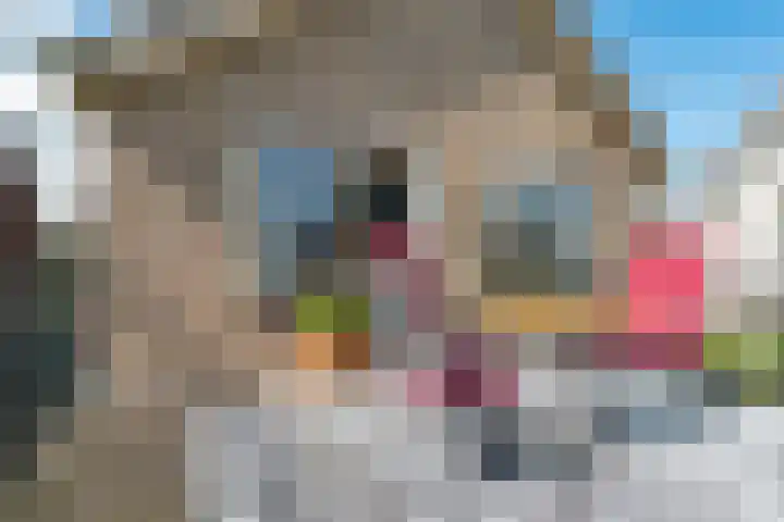 Bootsgezellenweg 18 Westwoud thumbnail 29