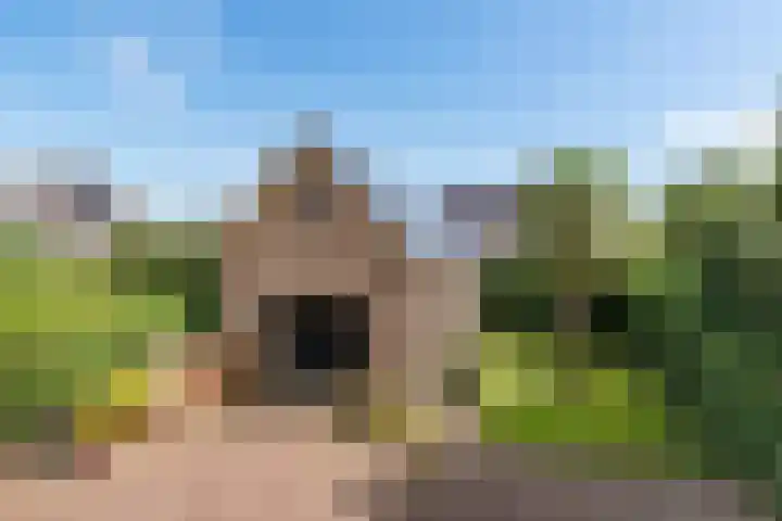 Bootsgezellenweg 18 Westwoud thumbnail 31