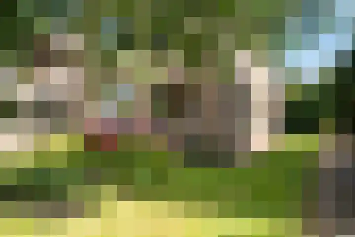 Bootsgezellenweg 18 Westwoud thumbnail 38