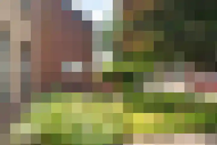Bootsgezellenweg 18 Westwoud thumbnail 39