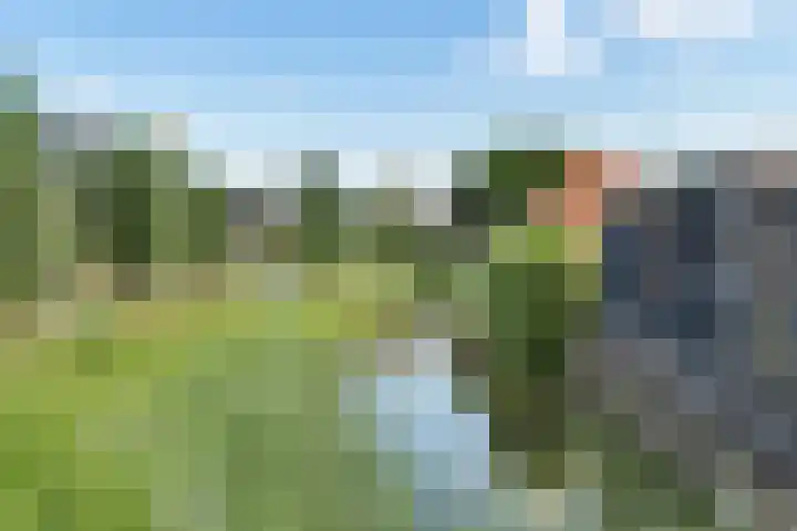 Bootsgezellenweg 18 Westwoud thumbnail 40